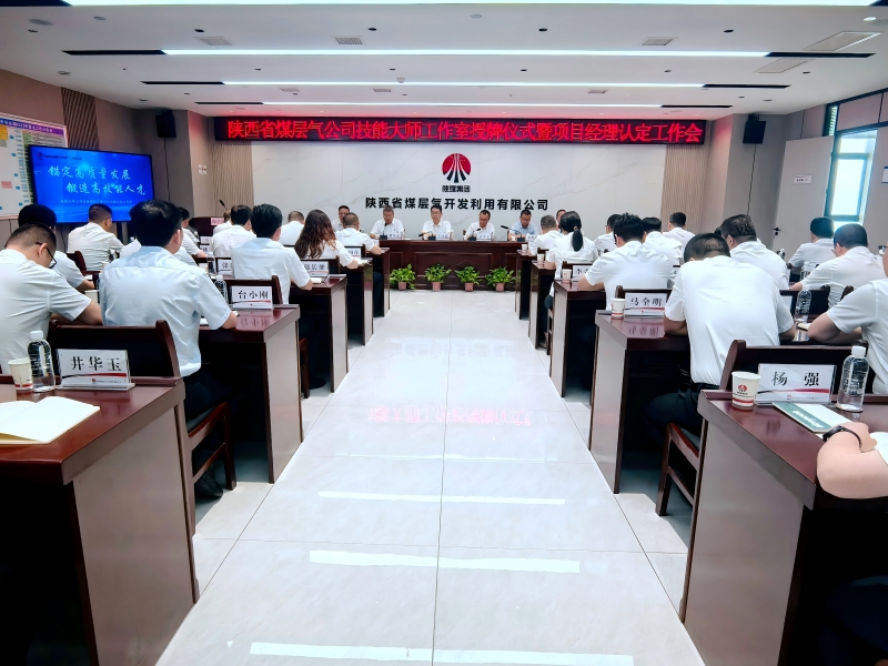 万利官网公司手艺巨匠授牌仪式暨项目司理认定会 压缩 (1).jpg